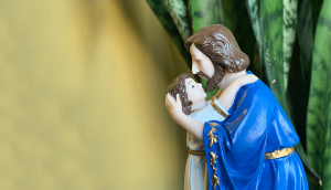 São José: por que ter no estoque?